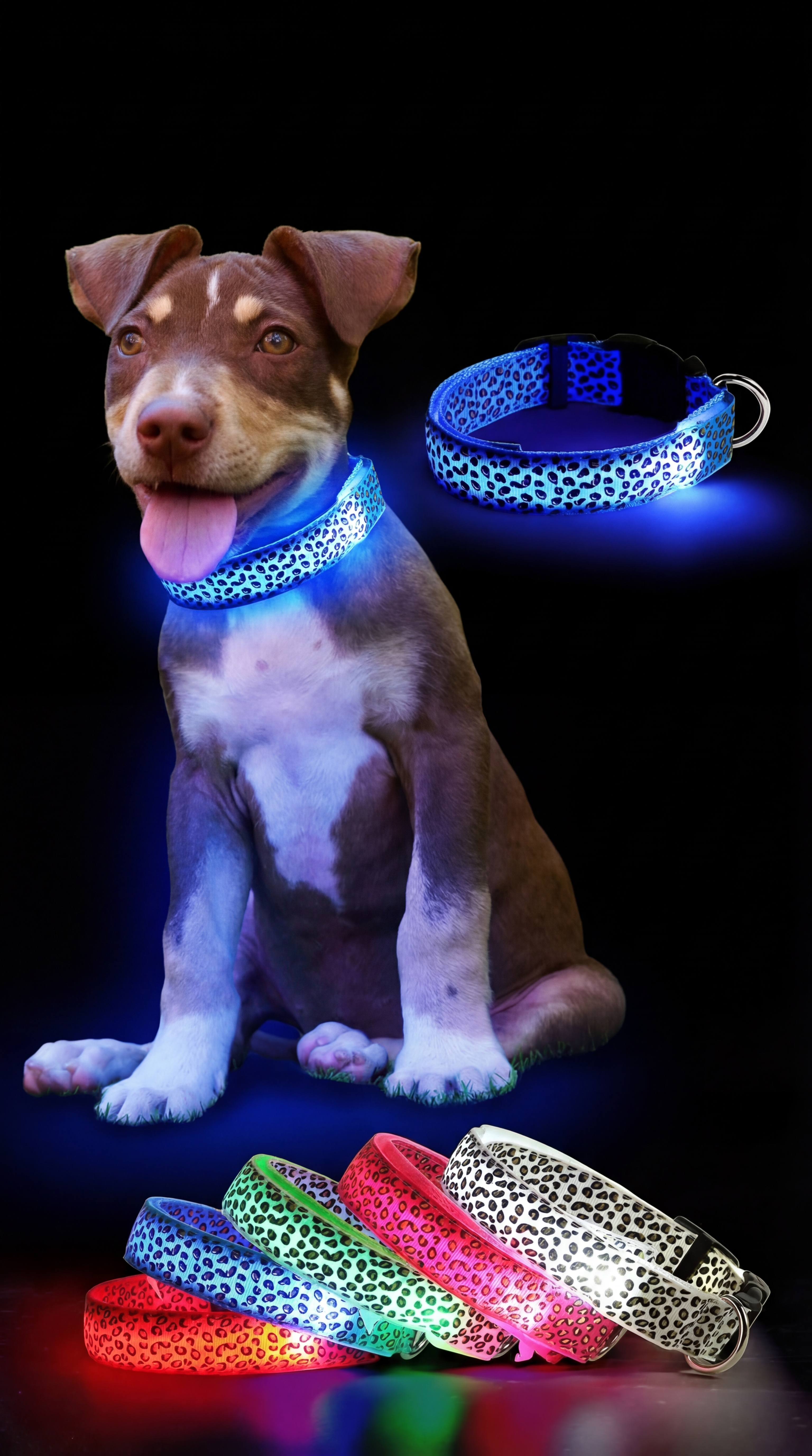 LED Rechargeable Dog Collar