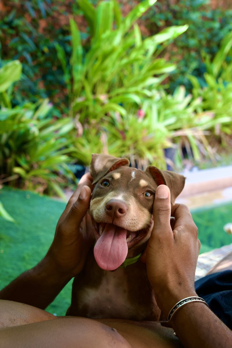 JT held by hands with huge smile in garden